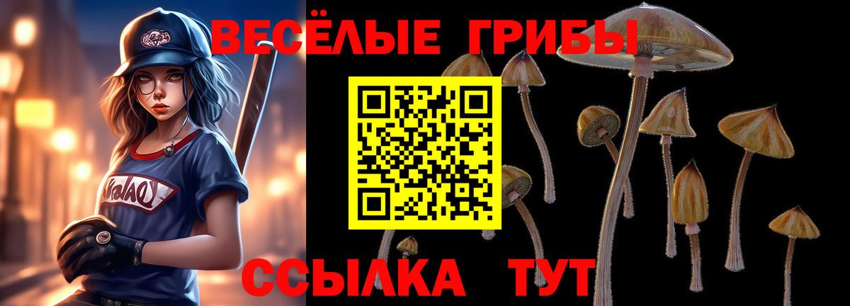 Галлюциногенные грибы MAGIC MUSHROOMS Сафоново