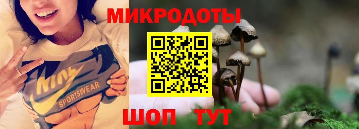 Галлюциногенные грибы Psilocybine cubensis  Вход с VPN  Сафоново  Галлюциногенные грибы мицелий 